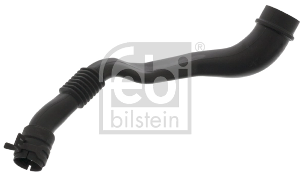 Hose, crankcase ventilation